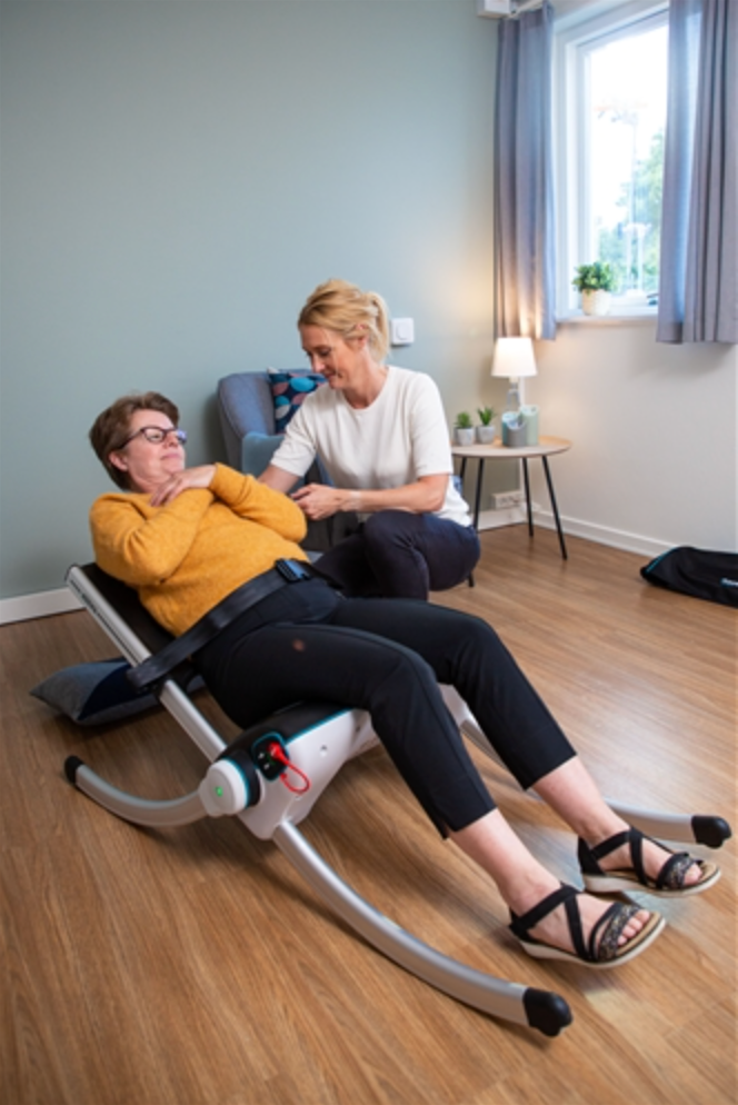 Raizer Lifting Chair
