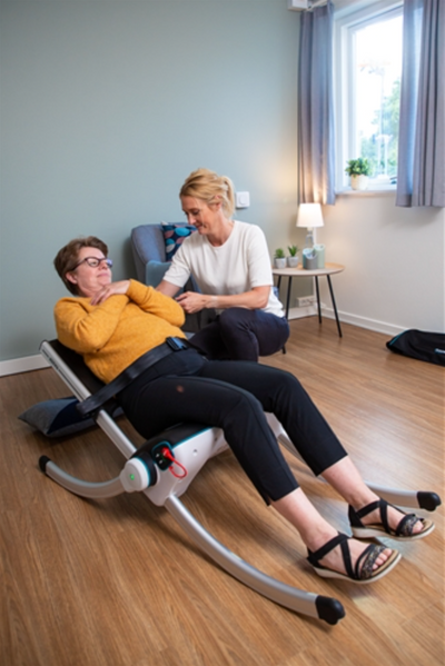 Raizer Lifting Chair