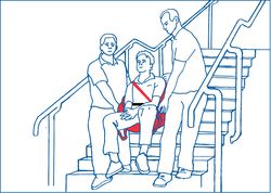 Alpha Transfer Seat Swing